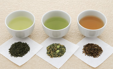 日本茶Terroir
