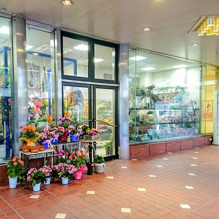 花朵Shop